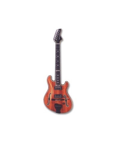 Phish Trey Guitar Magnet $3.36 Decor